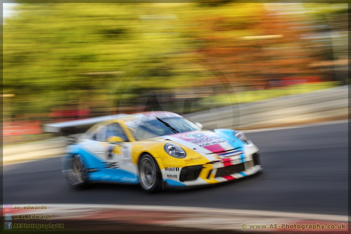 BTCC_Brands_Hatch_13-10-2019_AE_108.jpg